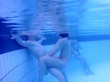 Nudistas en la piscina son filmados bajo el agua