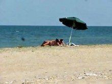 pareja rumana sexo en la playa