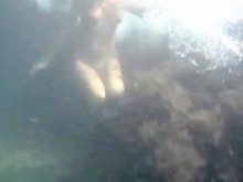 Nudistas en Crimea en 2011. Chica bajo el agua.1