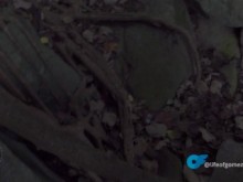 Un día en una hermosa playa tropical termina en una caminata sucia y pública de semen