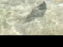 Sai y Providence - Sexo privado en la playa