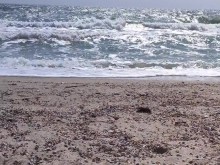 Solo el mar