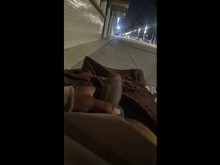 Polla de caballo en la playa (Venecia)