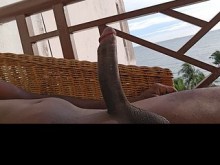 Vibrante vista a la playa mientras te fajas con mi polla topo negra