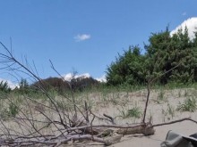 Sex Show Chaturbate Playa Nudista, Transexual y Chico, Gigi y Dave 17-05-2025, P3