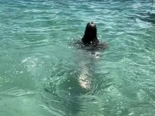 Un día en la playa… ¿hice un amigo en la playa?