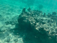 Mi buceo desnudo en una playa pública: califica lo que puedo hacer bajo el agua