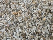 Hotwife exhibicionista le muestra su coño a nuestro amigo en una playa nudista