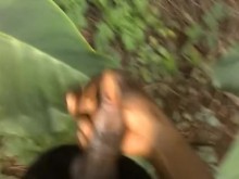 PAJA PÚBLICA EXTRAÑA