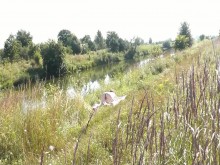 Milf desnuda tomando el sol en la orilla. Chico al azar mirando. Desnudo en público. Playa nudista. Estilo perrito. punto de vista