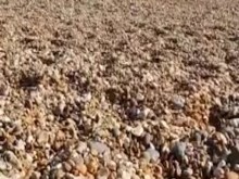 BEACH CANDID - Hermosa latina de culo grueso en micro BIKINI