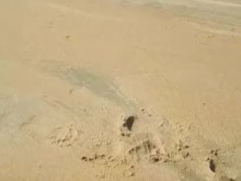 Desesperación en la playa
