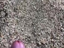 Anacardo rápido en la hermosa playa.